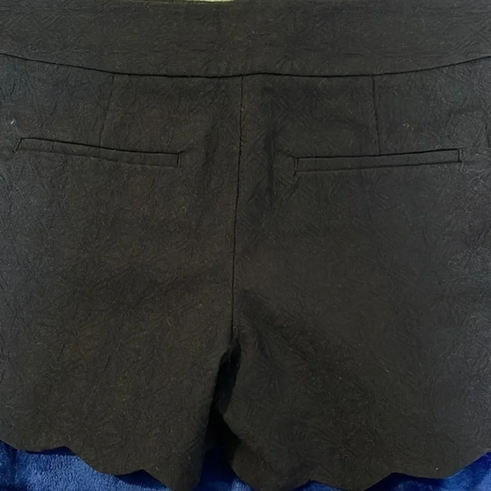 Ann Taylor Loft Cute Casual Black Riviera Shorts SIZE 0 EUC #2625 - Picture 6 of 6